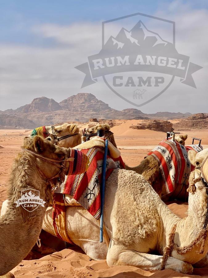 Rum Angel Camp 瓦迪拉姆 外观 照片